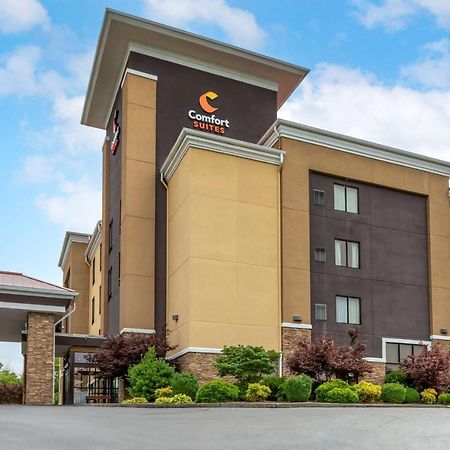 Comfort Suites Kingsport Eksteriør bilde